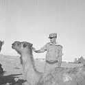 214ATN SMARA